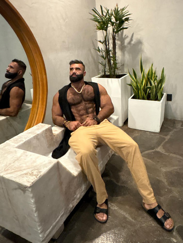 persianwolf2.0 1760036164 3739776865134632219 76527469647.jpg