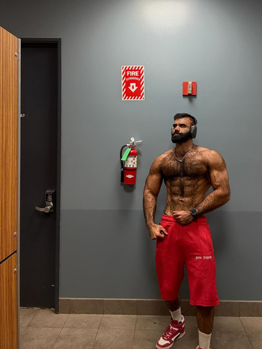 persianwolf2.0 1762286296 3758652338828636656 76527469647.jpg