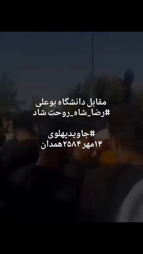 YaMF87nLOO1gvQxB.jpg
