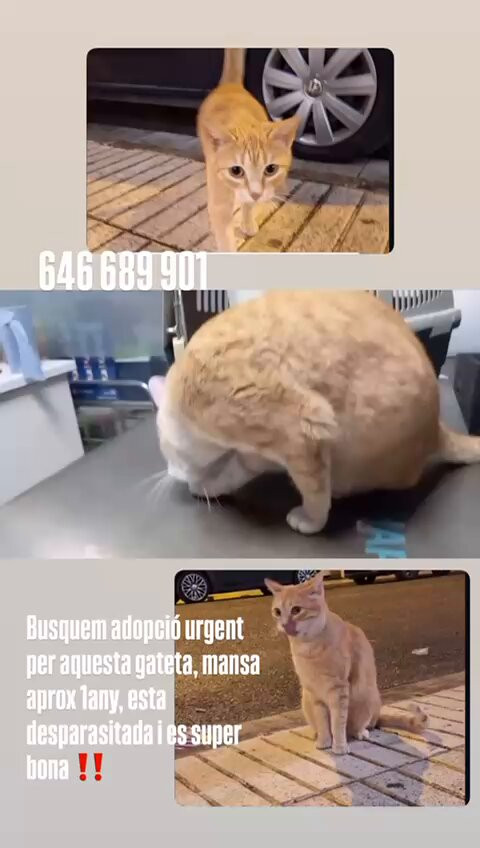 fO36x3HWJAzZhSTE.jpg