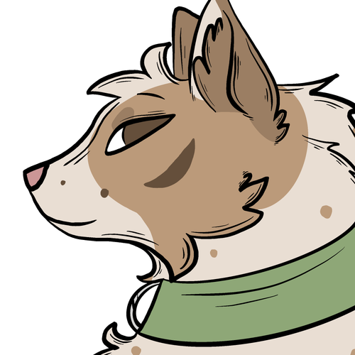 IMG 7527.png