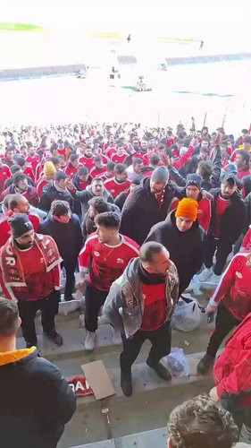 Q4p ISDZTP5NYFBi.jpg