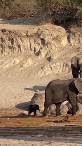 cgZx97VVV6 5qPNR.jpg