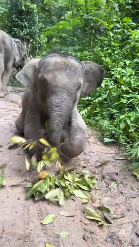 X s2D7BEUbdnIYuP.jpg