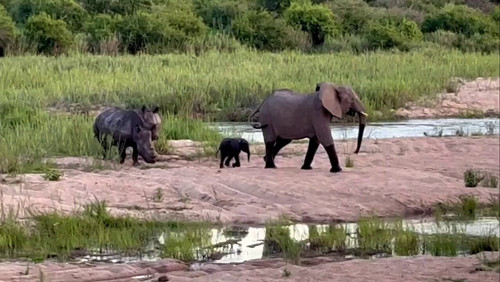 p64IrIwfdGZzvIO .jpg