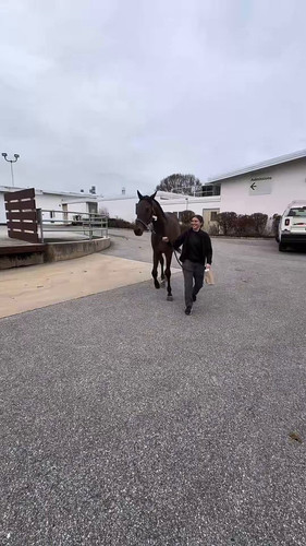 tGO 5IsFSfs6ljuo.jpg