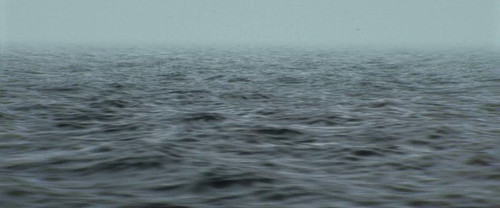 jvuAq4SFepbVR Uf.jpg