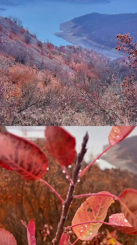 XvxJK6GDxMA41M 4.jpg