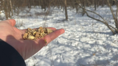 CJox eAe8CdNMQv9.jpg