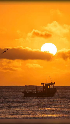 Vv RZvWNChekf2s .jpg