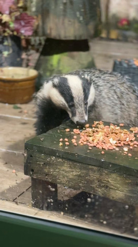 3 bXsKw4KDfm6HCS.jpg