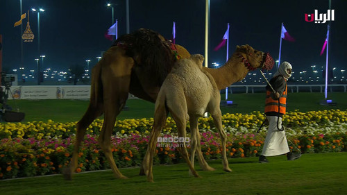 7GQG0TFHyfuzT hx.jpg