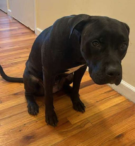 G8OAXHMXAAUan X?format=jpg.jpg