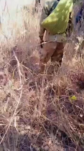 iCQv8LC5nyQw KKa.jpg