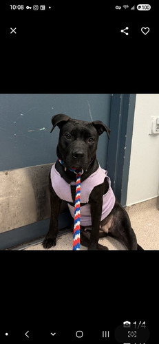 G75i7gdWkAA7H g?format=jpg.jpg