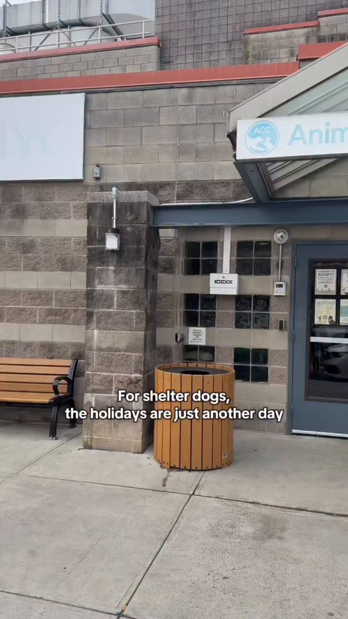 PK93ykIrxsAY KG .jpg