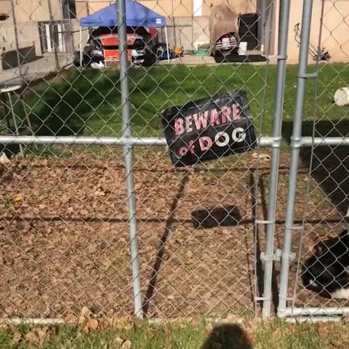 y rnpXUcXyHvyluy.jpg