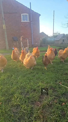 EjAxs zSJj FEAIa.jpg