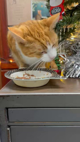 xnjmsWqWlNHHj5a2.jpg