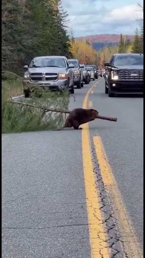 6NkA A88DW7LR5y8.jpg