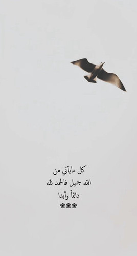 G8lg Q9a4AAYWiu.jpg