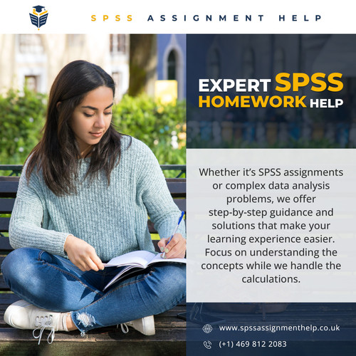 Effortless SPSS Assignment Help.jpg