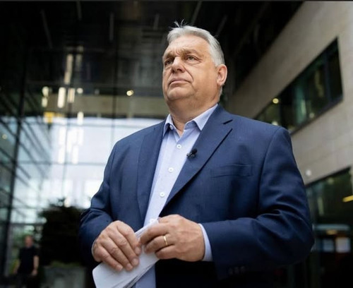 600521892 1445701673583043 1913233353078559352 n.jpg?stp=dst jpg s640x640 tt6& nc cat=109&ccb=1 7& n.jpg