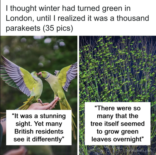 Screenshot 2025 12 19 at 8.06.17 PM.png