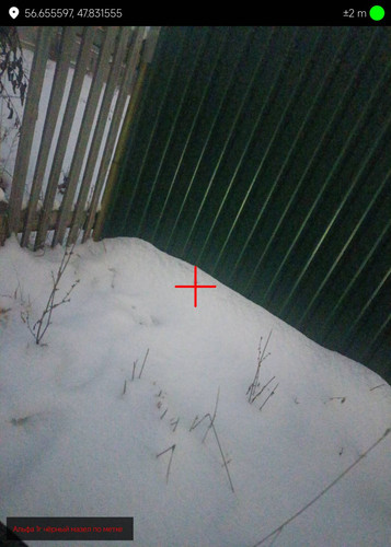 1000127741.jpg
