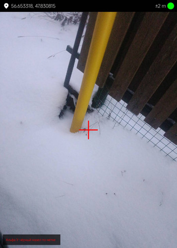 1000127745.jpg