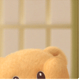 1000011013.gif