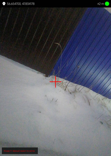 1000127735.jpg
