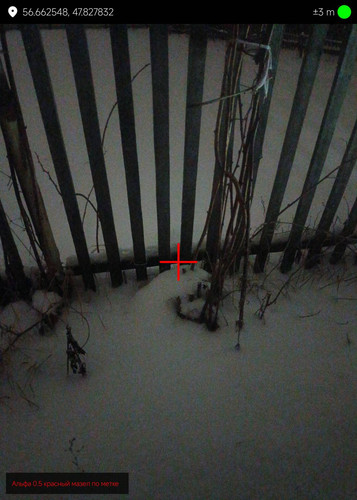1000127705.jpg