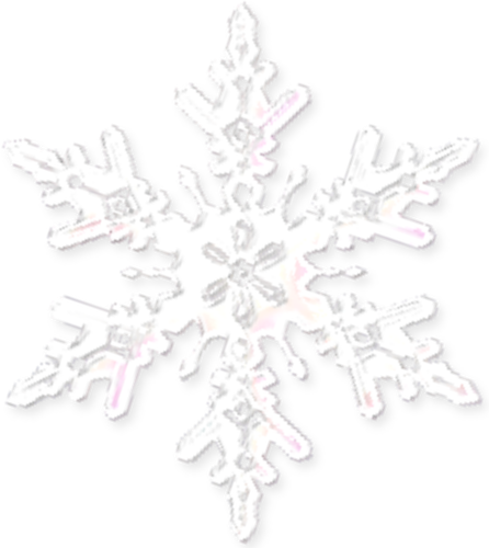 1765691399364 edit 56276003096967bc004dec3c536a3c.png