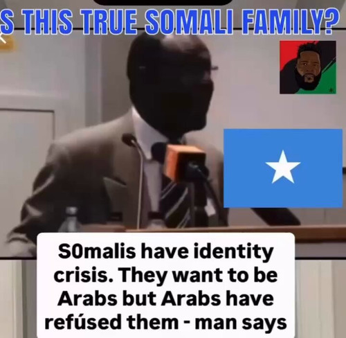 y4C1zMkBobkTnLJ .jpg