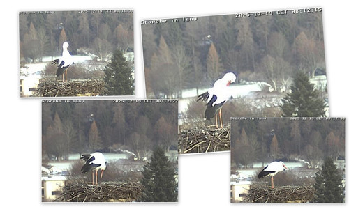 Bilder10.jpg