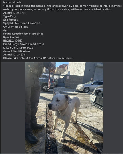 G8RFVGsWcAEGPaf.jpg