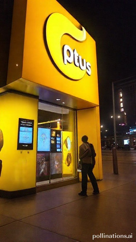 213ec8d37f1c.jpg