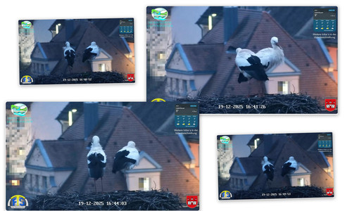Bilder4.jpg