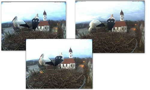 Bilder12.jpg