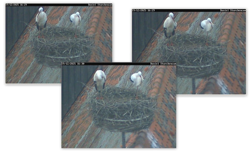 Bilder9.jpg