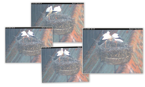 Bilder8.jpg