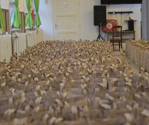 602948175 1437969361016357 6172442267577299212 n.jpg?stp=dst jpg s590x590 tt6& nc cat=103&ccb=1 7& n.jpg