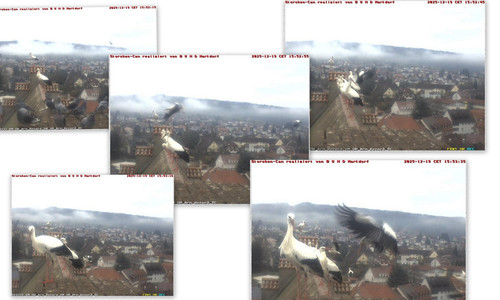 Bilder13.jpg