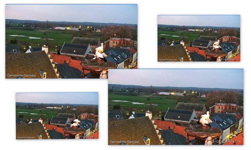 Bilder3.jpg