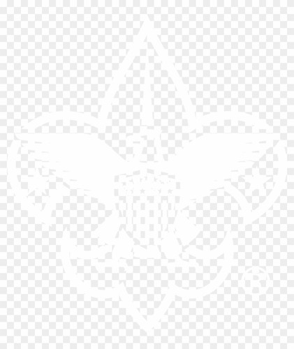 White BoyScouts.jpg