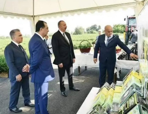 601117882 1424968709285446 7063935187863479965 n.jpg?stp=dst jpg p180x540 tt6& nc cat=108&ccb=1 7& n.jpg