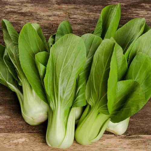 115 pakchoi vegetable seeds for.jpg