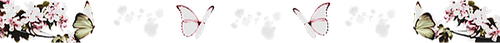 Bazaart 6DC629EF 809B 4848 9B14 BFFE7BC71013.png