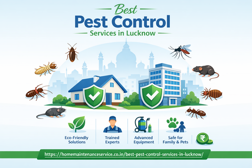 Best Pest Control Services in Lucknow for Safe & Hygienic Living.png